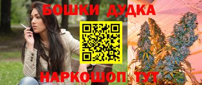 гидра Владикавказ