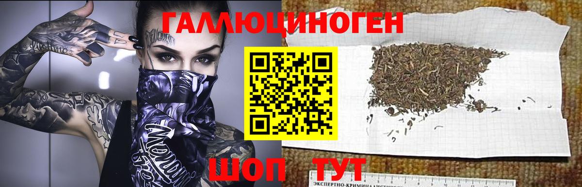 Псилоцибиновые грибы мицелий Кострома