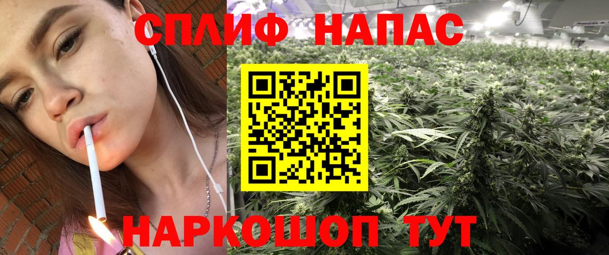 Канабис планчик Кострома